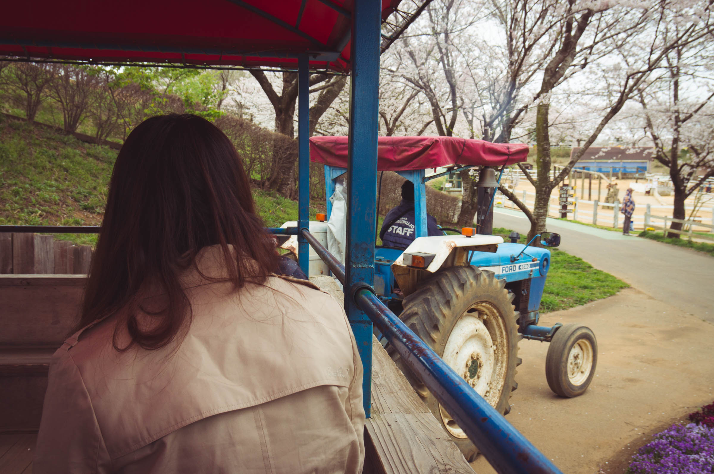 20150404-DSC01554