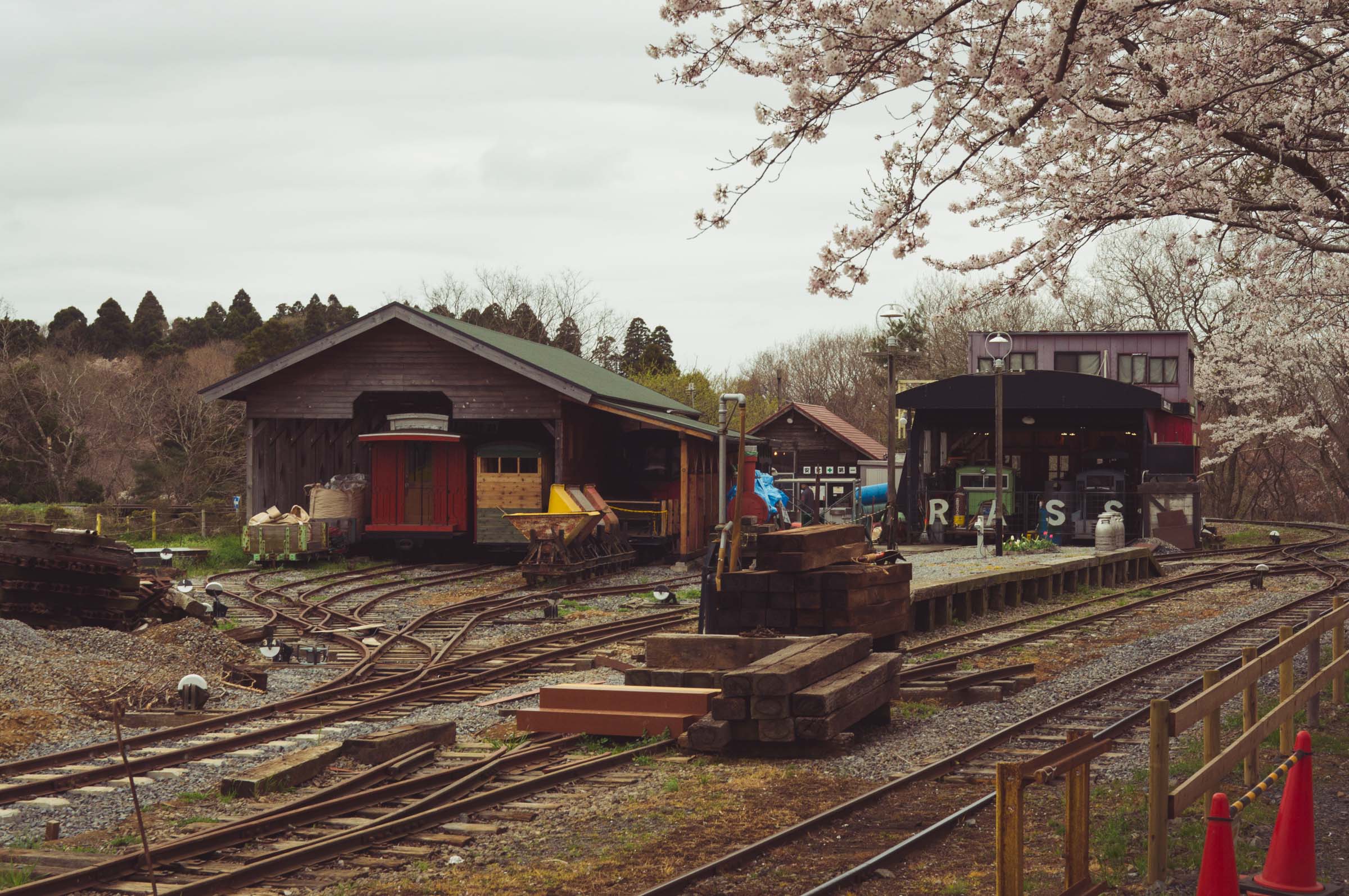 20150404-DSC01623