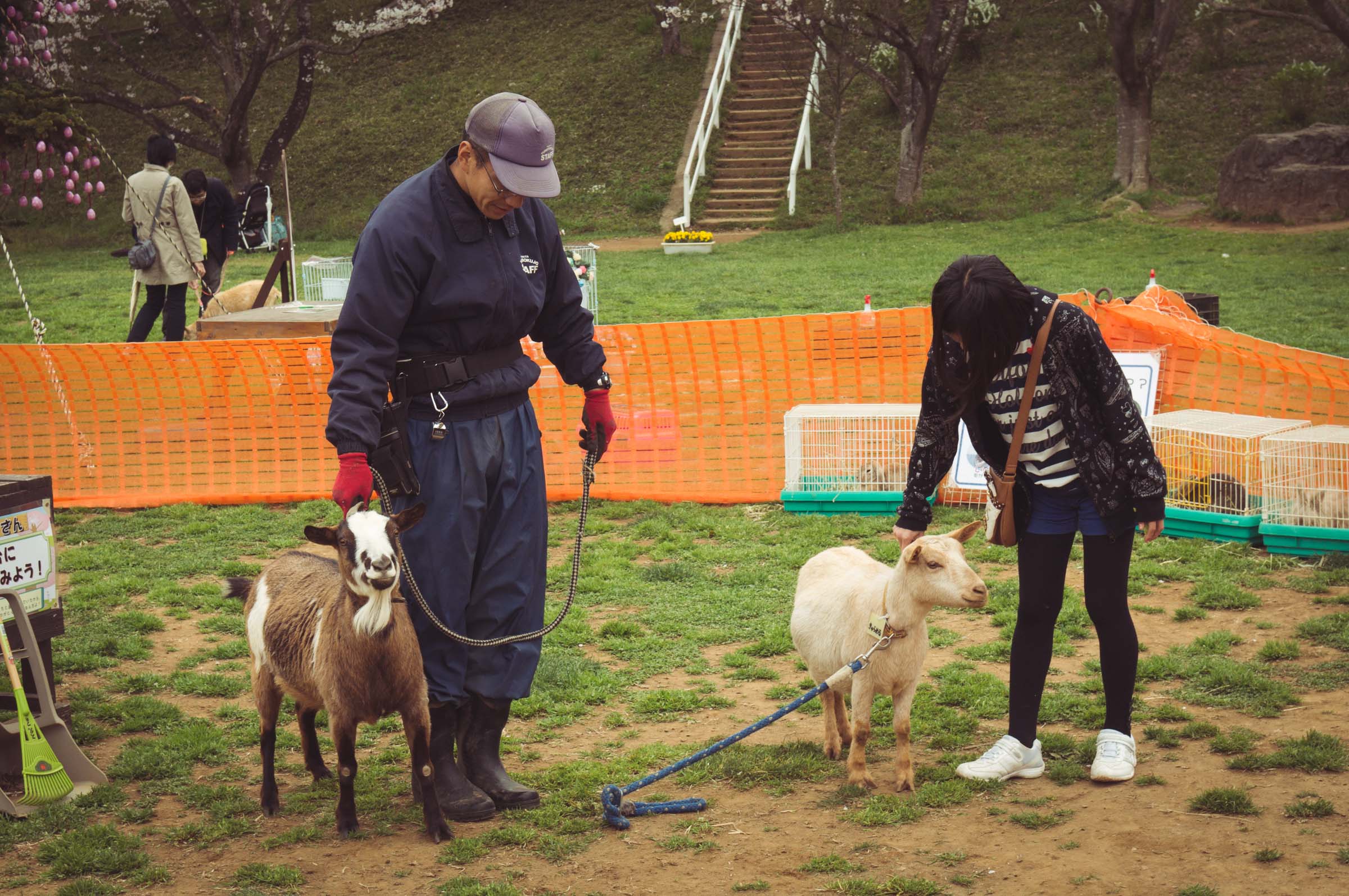 20150404-DSC01645