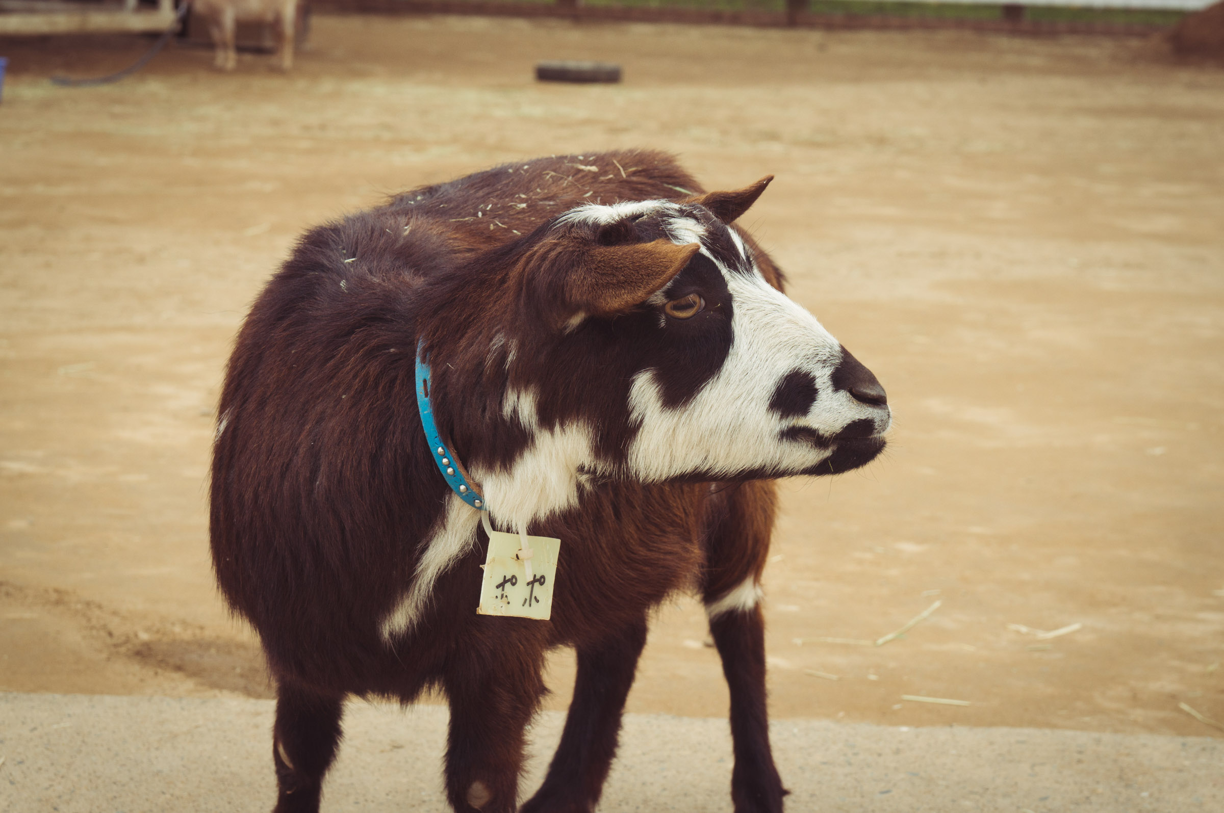 20150404-DSC01648