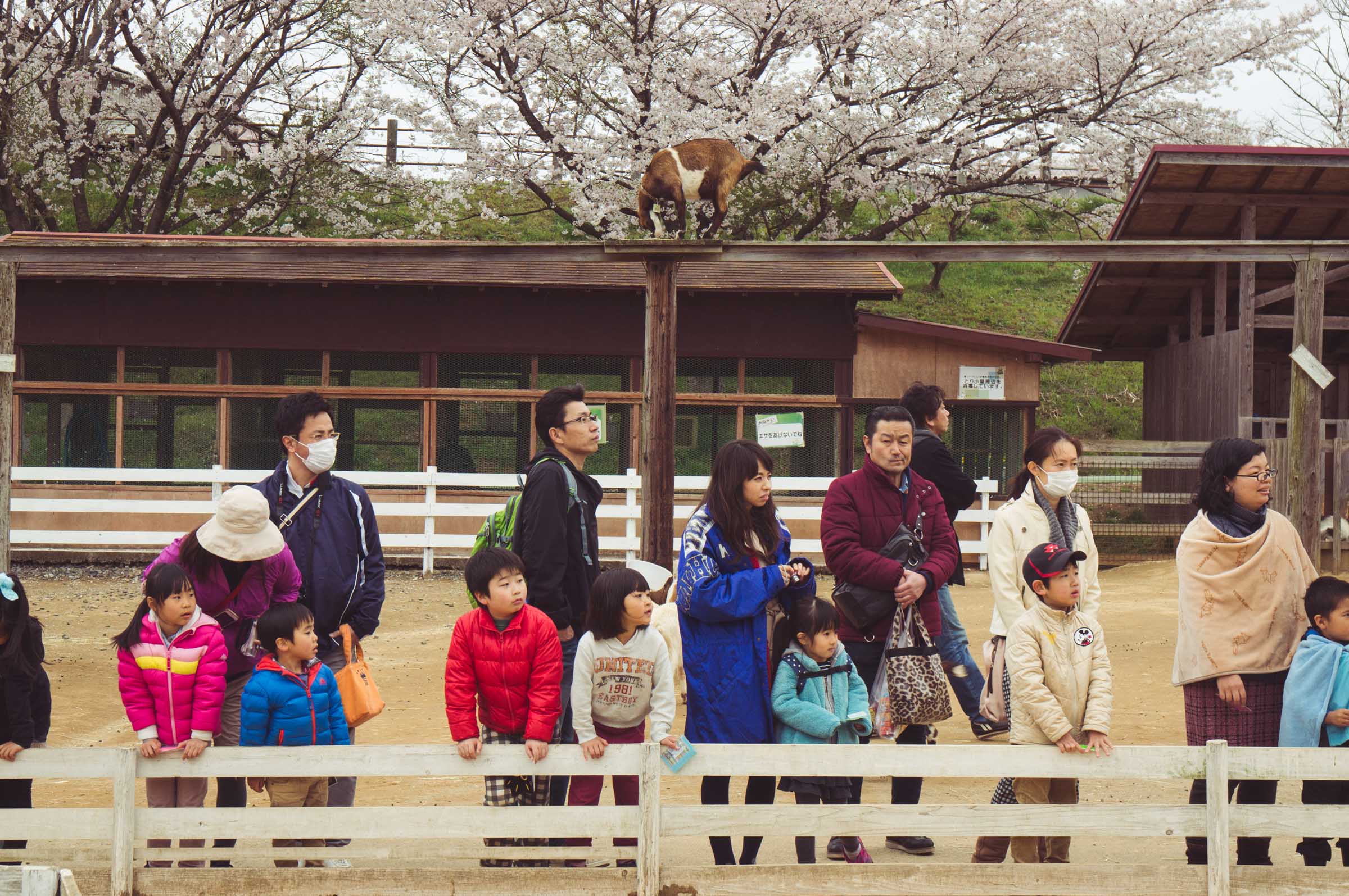 20150404-DSC01679