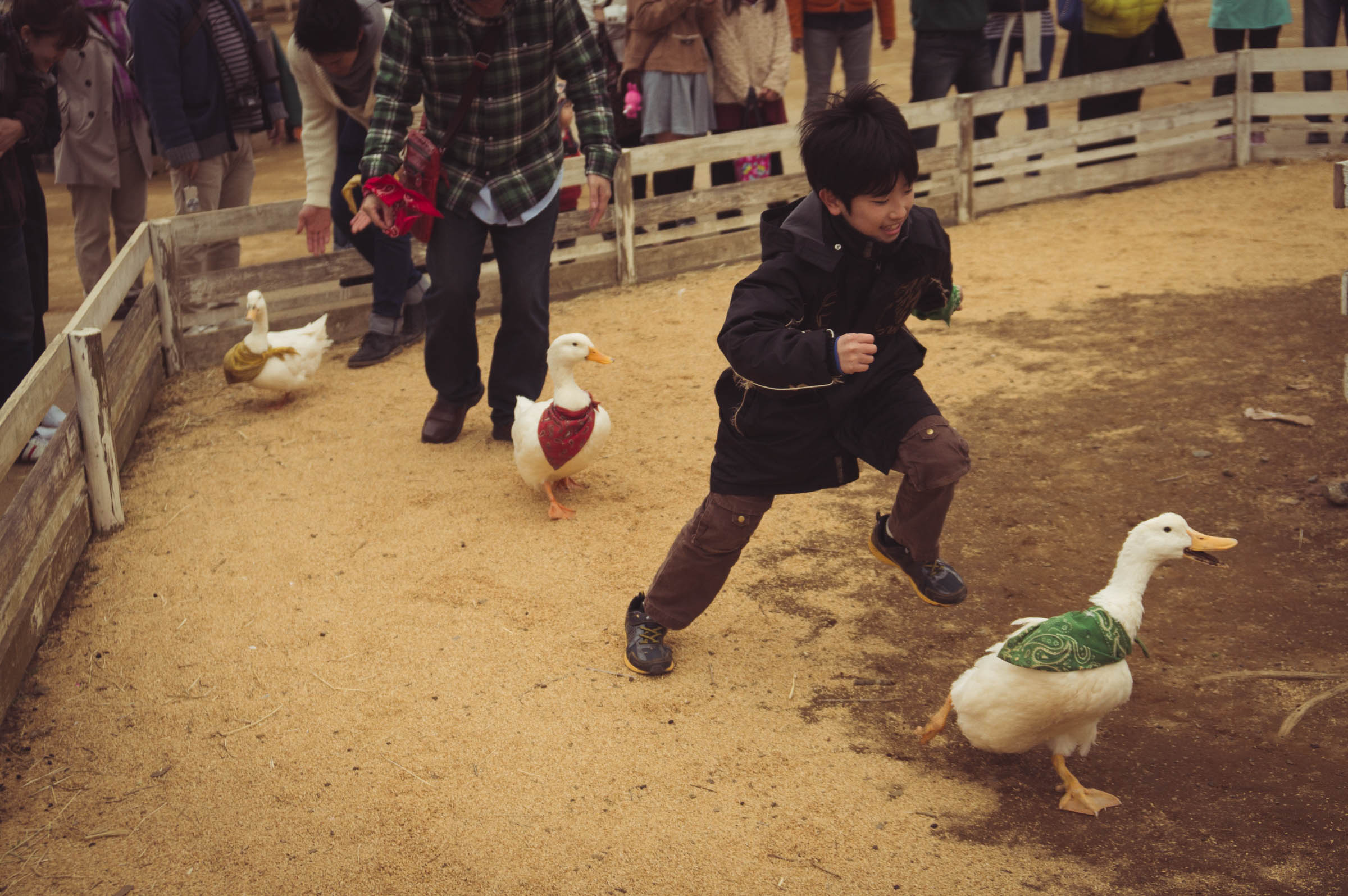 20150404-DSC01695