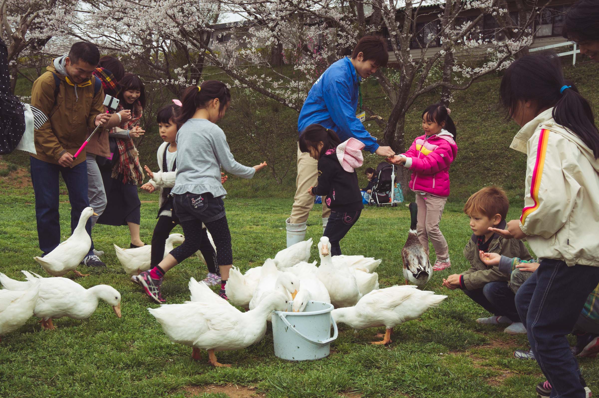 20150404-DSC01775
