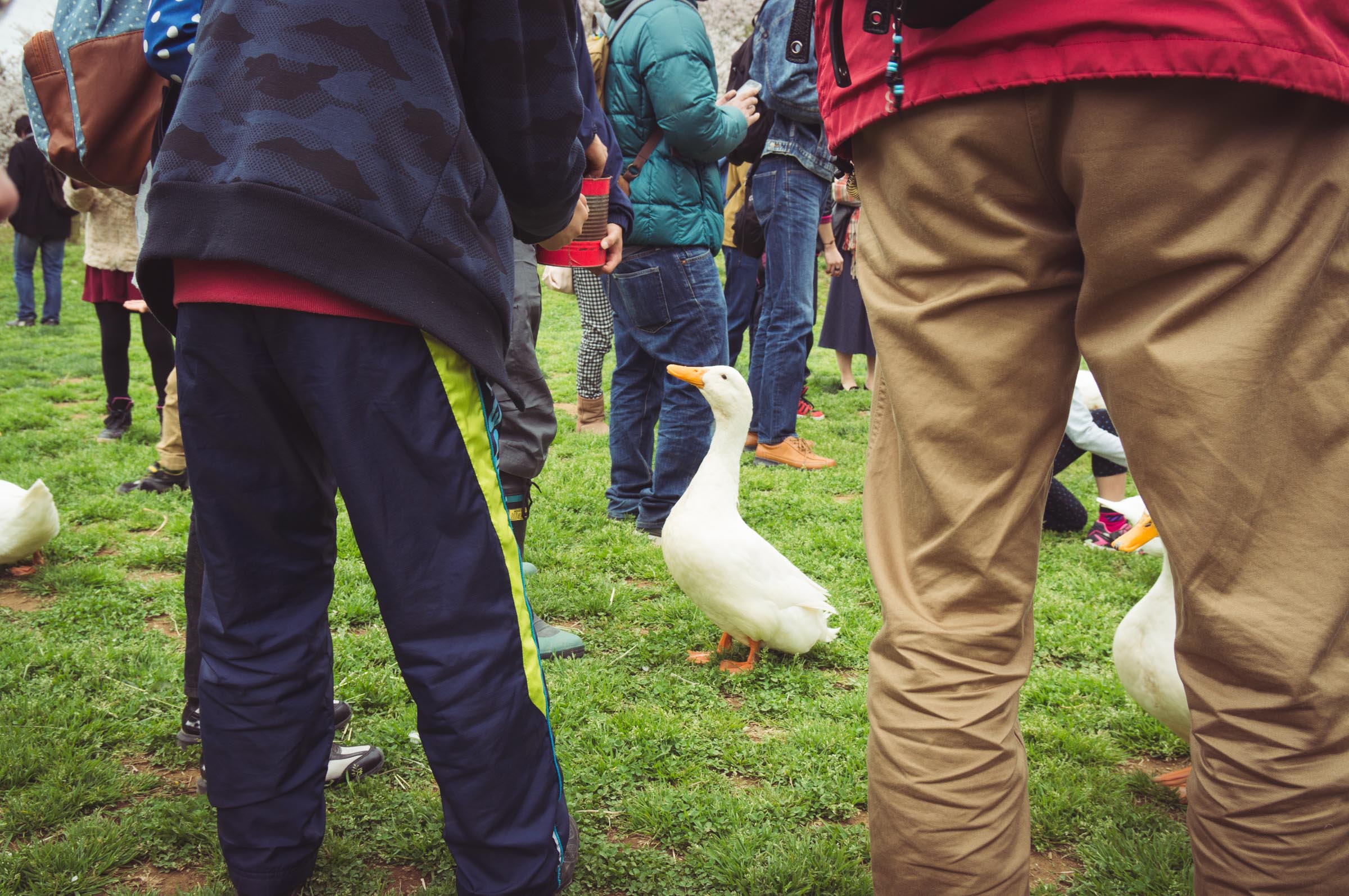 20150404-DSC01784