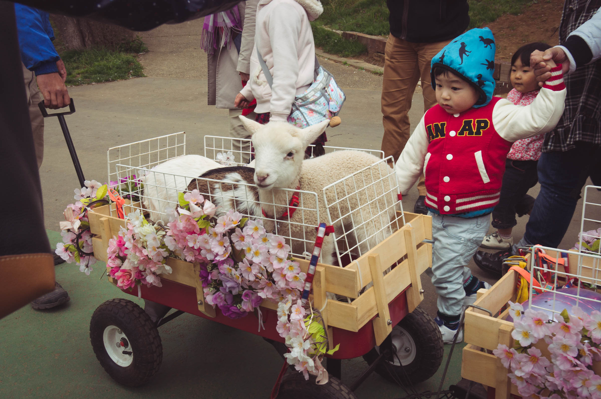 20150404-DSC01801