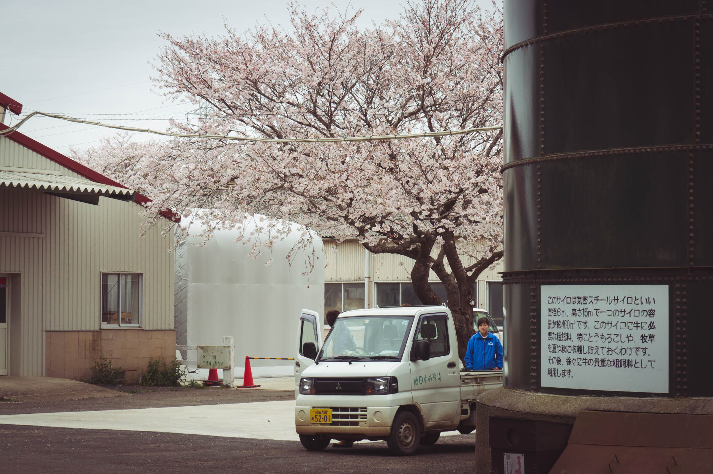 20150404-DSC01812