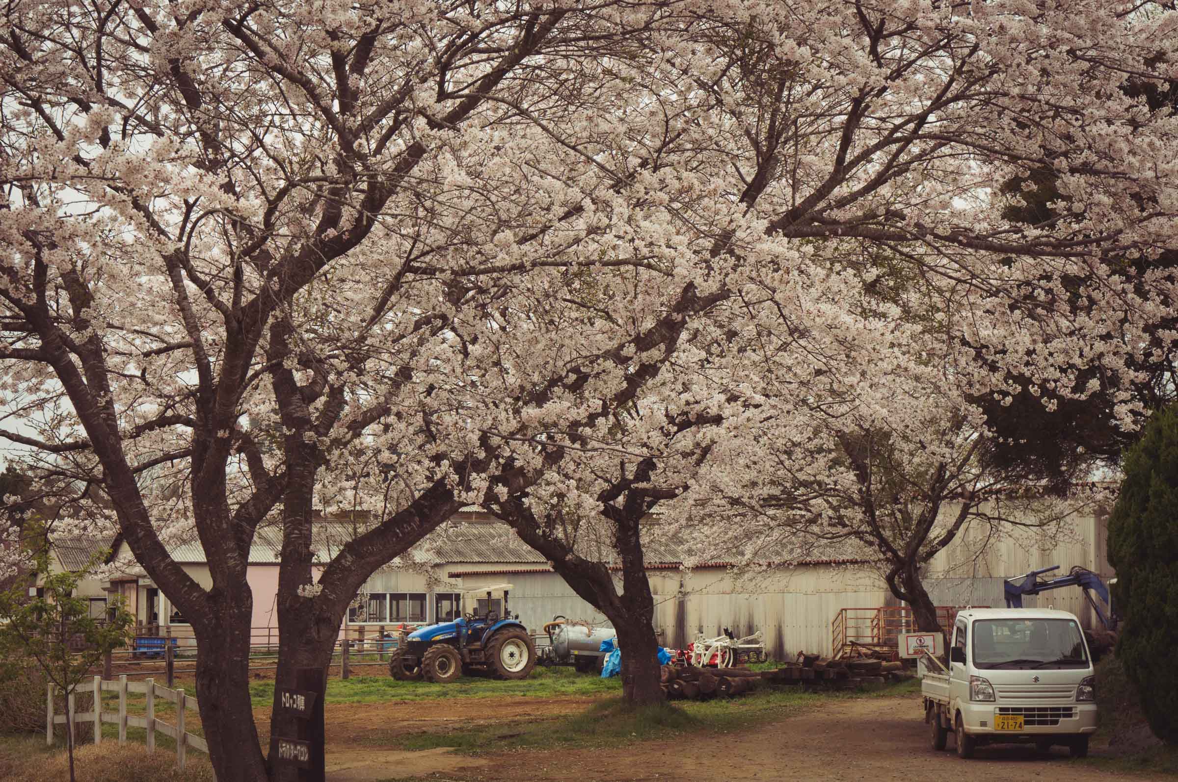 20150404-DSC01845