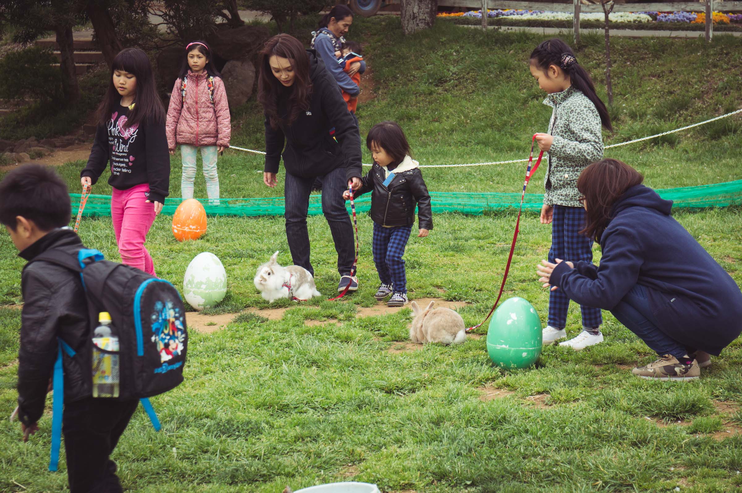 20150404-DSC01853