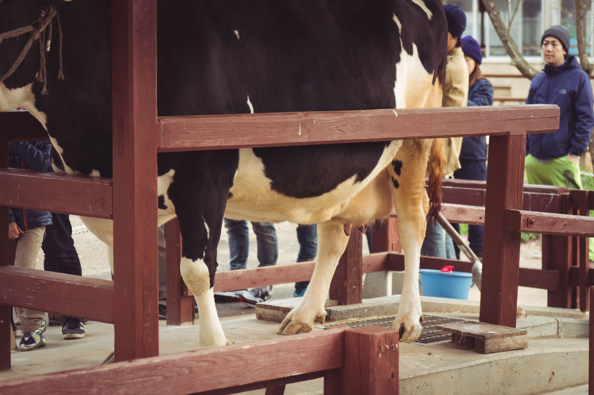 20150404-DSC01857