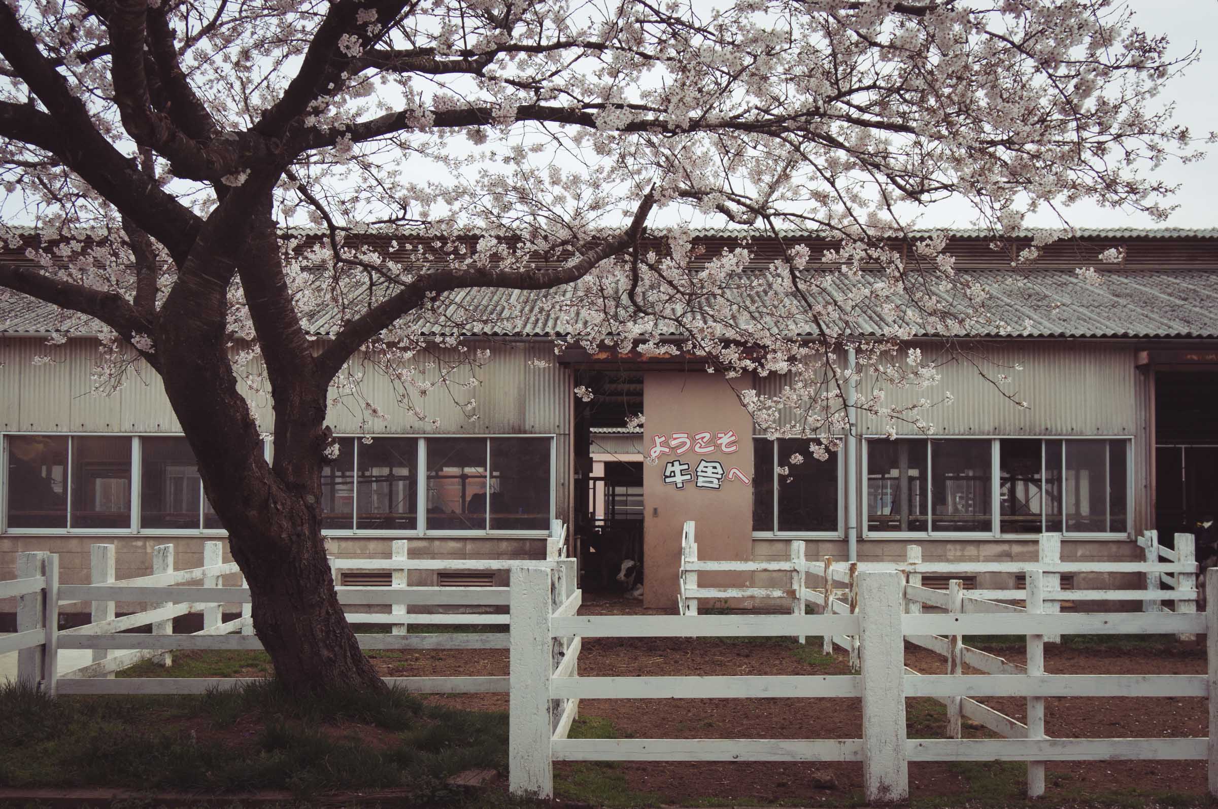 20150404-DSC01889