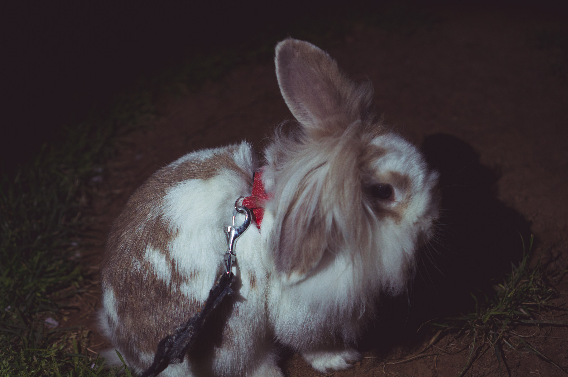 20150404-DSC01940