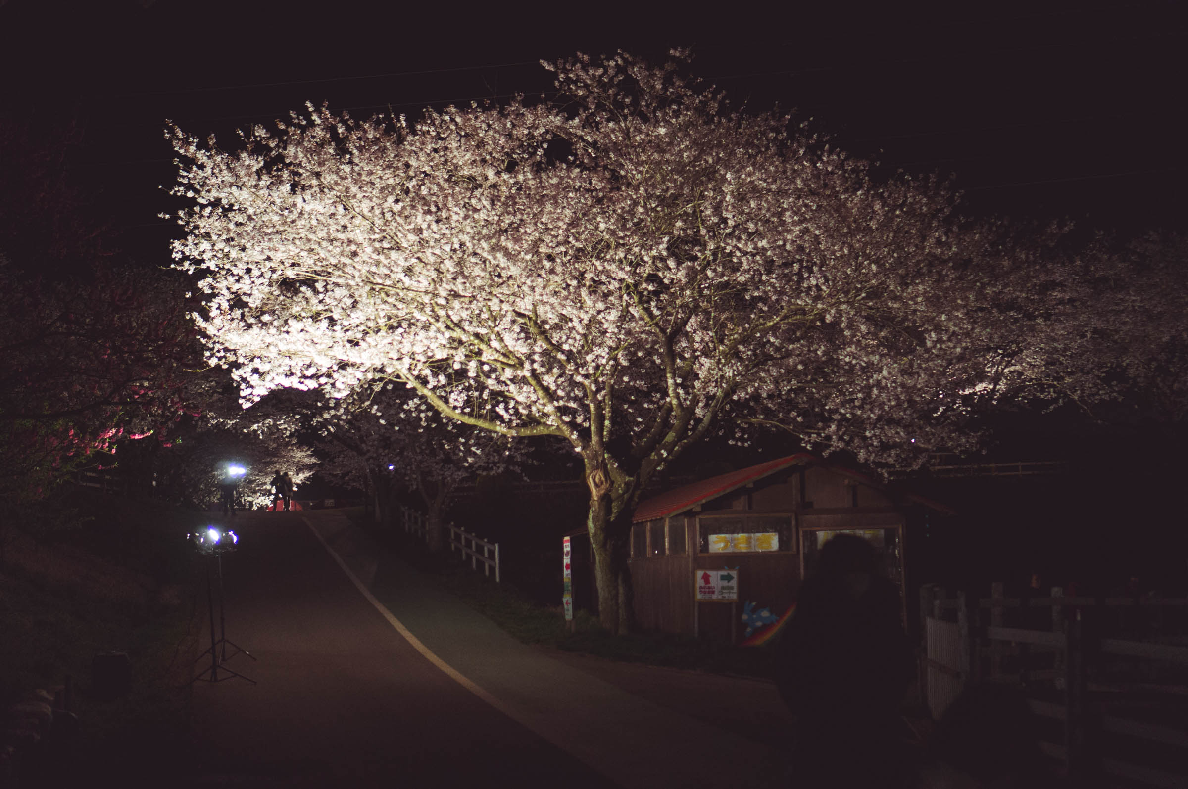 20150404-DSC01981
