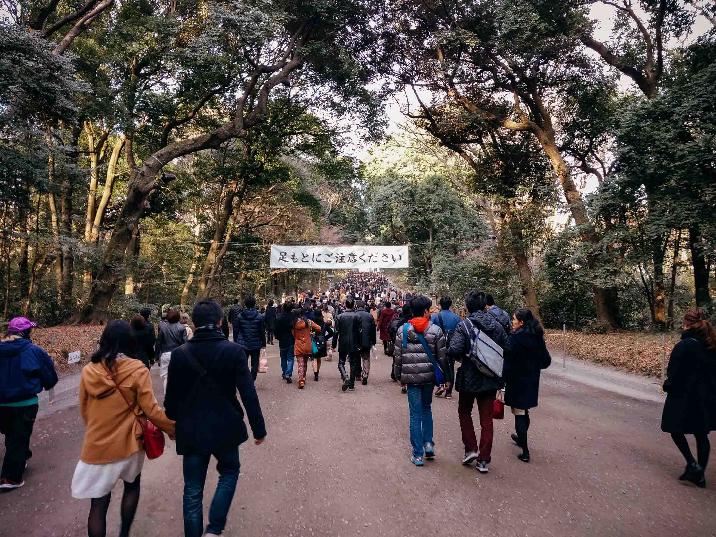 20160103-IMG_20160103_143856