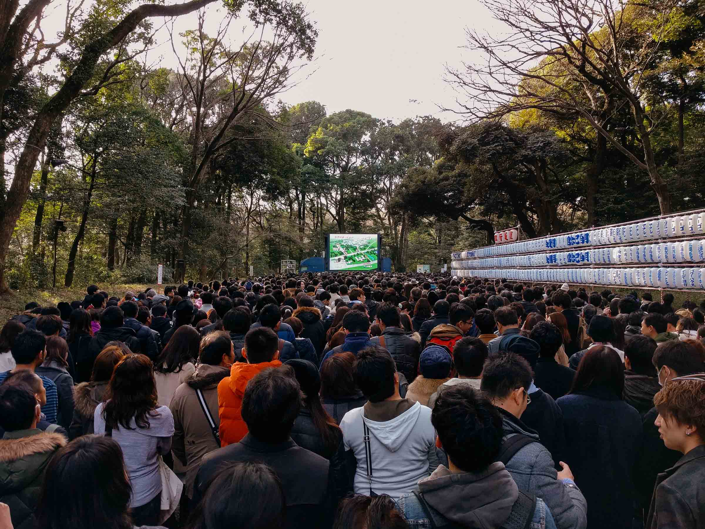 20160103-IMG_20160103_144708